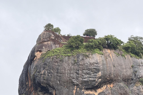 Sigiriya: Family Nature Hike & Kid-Friendly Village Cooking Lion Rock, Cave Temple & Cooking Experience from Kandy