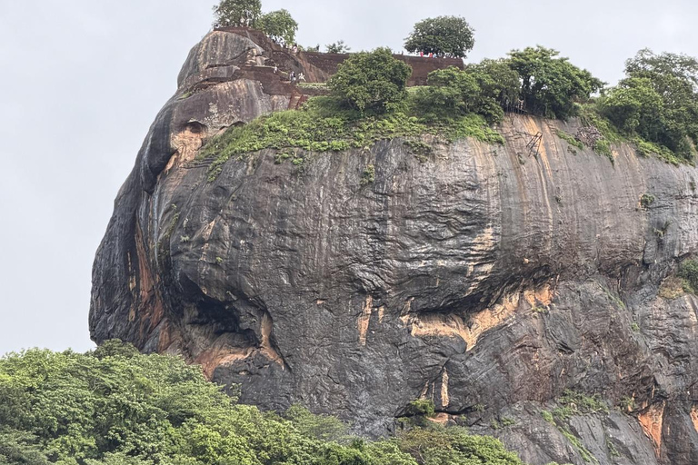 Sigiriya: Family Nature Hike & Kid-Friendly Village Cooking Lion Rock, Cave Temple & Cooking Experience from Kandy