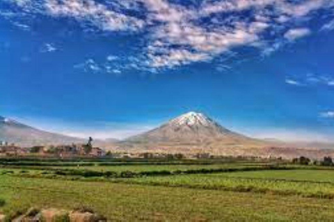 Tour Arequipa with the world of Alpacas