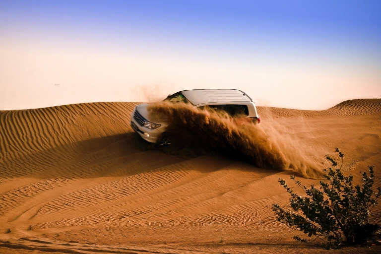 Qatar Combo privé de visite de la ville et safari dans le désert