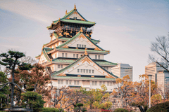 Osaka: Private Highlight-Tour mit Guide und Luxusfahrzeug