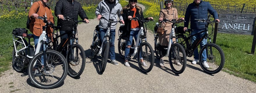 Santa Barbara : Excursion viticole en E-bike avec transport, dégustation, déjeuner