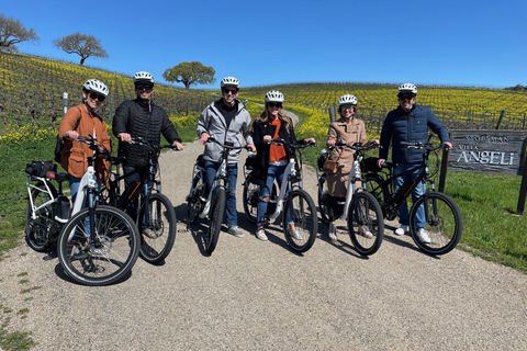 Santa Barbara: Passeio de E-Bike pela região vinícola com degustações e almoço