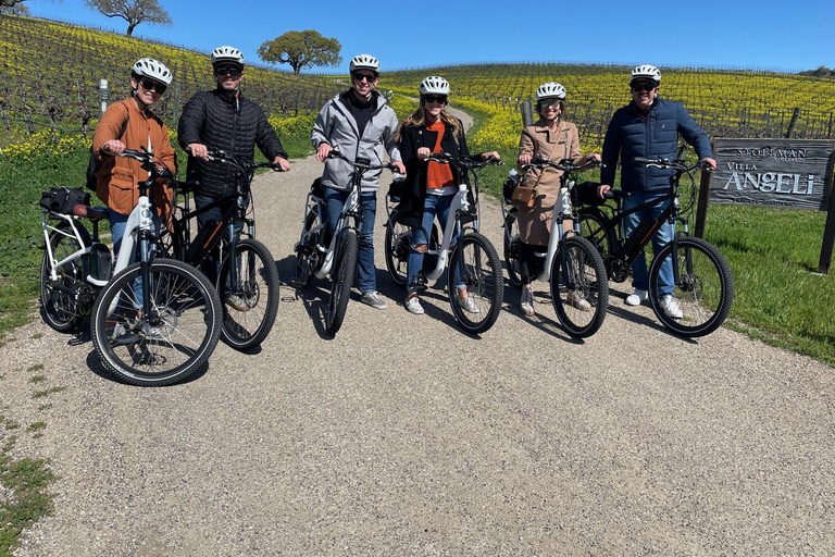 Santa Barbara: Passeio de E-Bike pela região vinícola com degustações e almoço