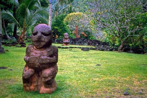 Tahiti : visite des côtes ouest et est avec cascades