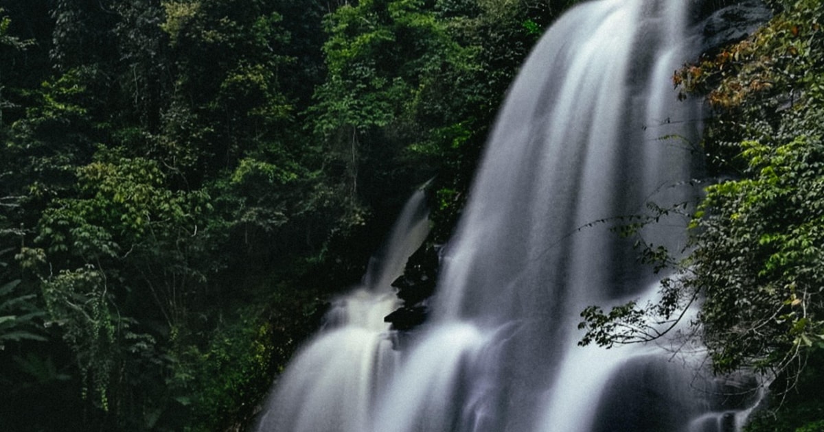 Chiang Mai: Doi Inthanon & Pha Dok Siew Trekking Day Trip | GetYourGuide