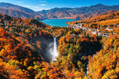 Nikko Small Group: Hotel Pickup, Kegon Falls & Toshogu Private Sightseeing Tours