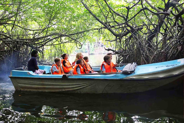 Bentota: River Safari with Hotel Pickup and Drop-off