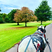 Killarney National Park Jaunting Car Tour