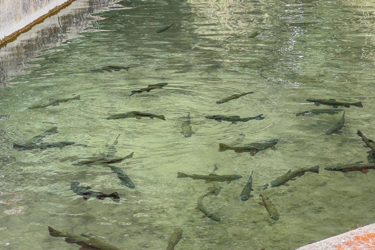 Bariloche: Andean Region Tour to El Bolsón & Lago Puelo