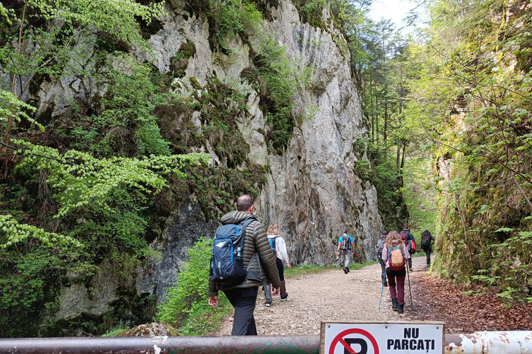 Brașov: Caminhada privada em Piatra Craiului até a cabana CurmaturaBrașov: Caminhada Privada de Piatra Craiului até a Cabana Curmatura