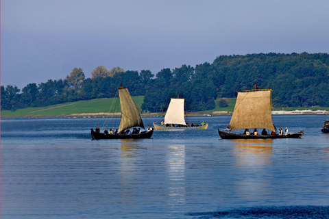 Denmark : Viking Ship Museum Entry Ticket