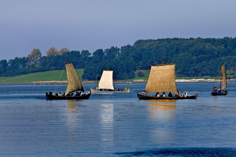 Denmark : Viking Ship Museum Entry Ticket