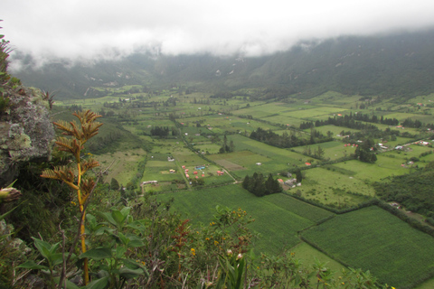 Pululahua Volcano Sightseeing Tour