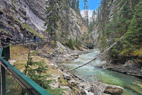 Tour SUV del Lago di Smeraldo, del Lago Louise, del Canyon di Johnston e di Banff