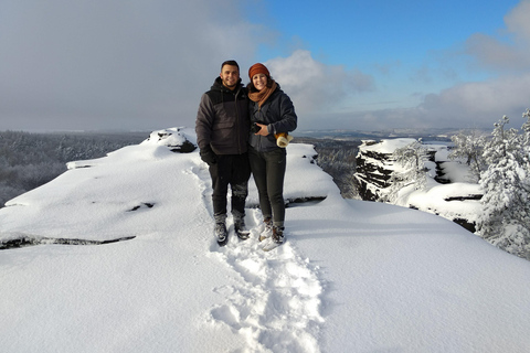 From Prague: Terezin Camp and Bohemian Switzerland Day Trip Terezin, Narnia & Bastei