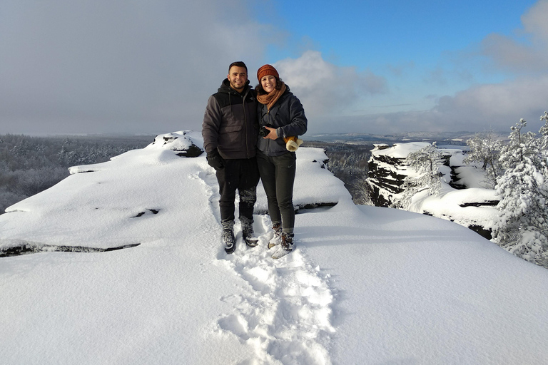 From Prague: Terezin Camp and Bohemian Switzerland Day Trip Terezin, Narnia & Bastei
