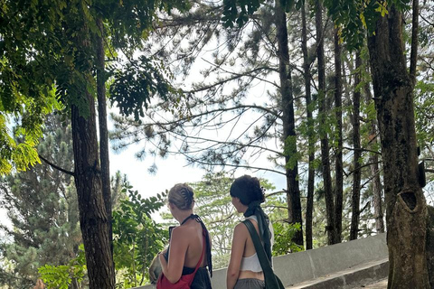 CMB/Negombo: Sigiriya, Kandy & Ella Private Tour with Driver Private Van with Driver – Up to 50 km