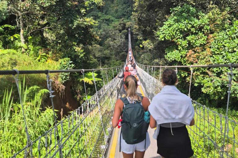 Bandung;White Crater,Hot Springs,Tea n strawberry plantation