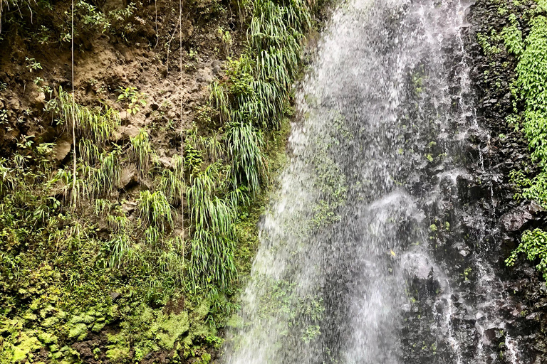 St. Vincent: Dark View Falls, Wallilabou & Fort Tour
