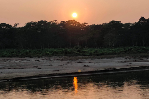From Kathmandu/Pokhara: 3-Day All-Inclusive Chitwan Safari 4-Star Luxury Accommodation at Hotel Seven Star
