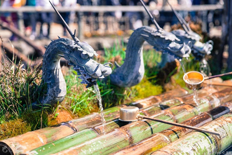 Visite des 6 attractions du mont Fuji : lac Kawaguchi, Oshino HakkaiLieu de rendez-vous : gare de Tokyo à 8 h 00.