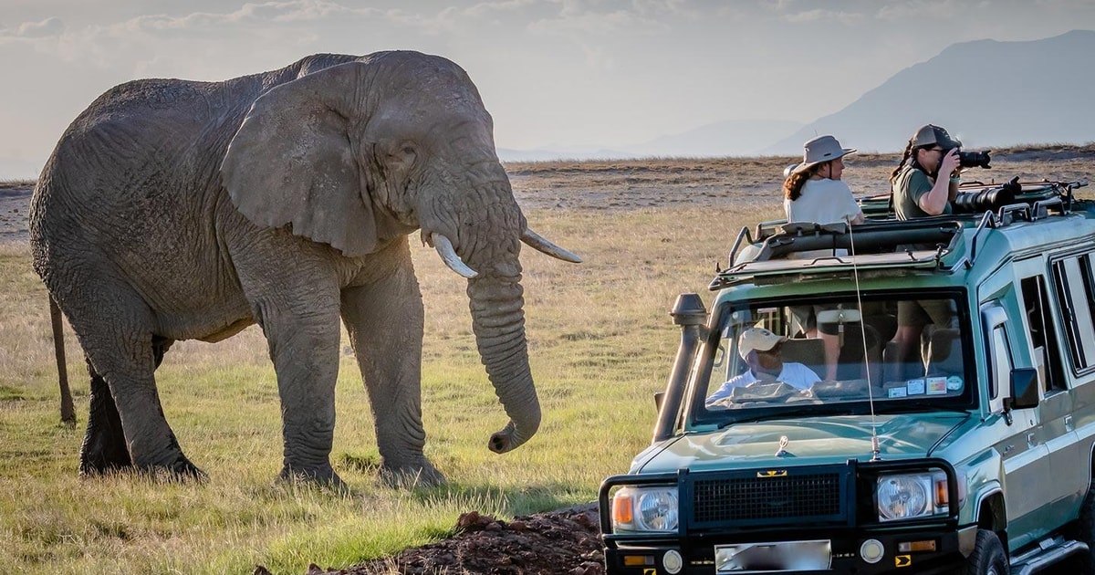 Jednodnevni Izlet U Nacionalni Park Amboseli, Safari Divljim ...