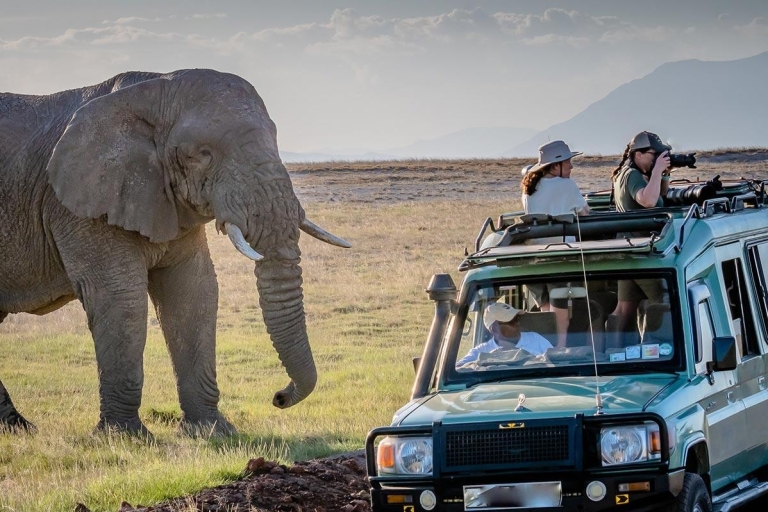 4-dniowe safari w Amboseli, Tsavo West i Tsavo East