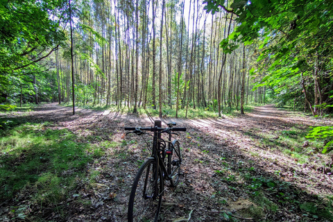 Vilnius: Customizable Bicycle or Walking Tour
