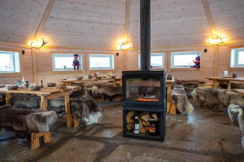 Reindeer Feeding and Sami Culture with Lunch in Autumn Tromsø: Reindeer Feeding and Sami Culture in Autumn