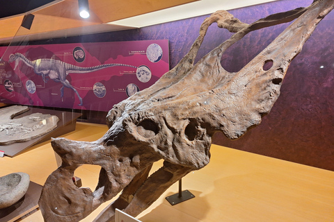 Jurassic Museum of Asturias Guided Tour from Oviedo