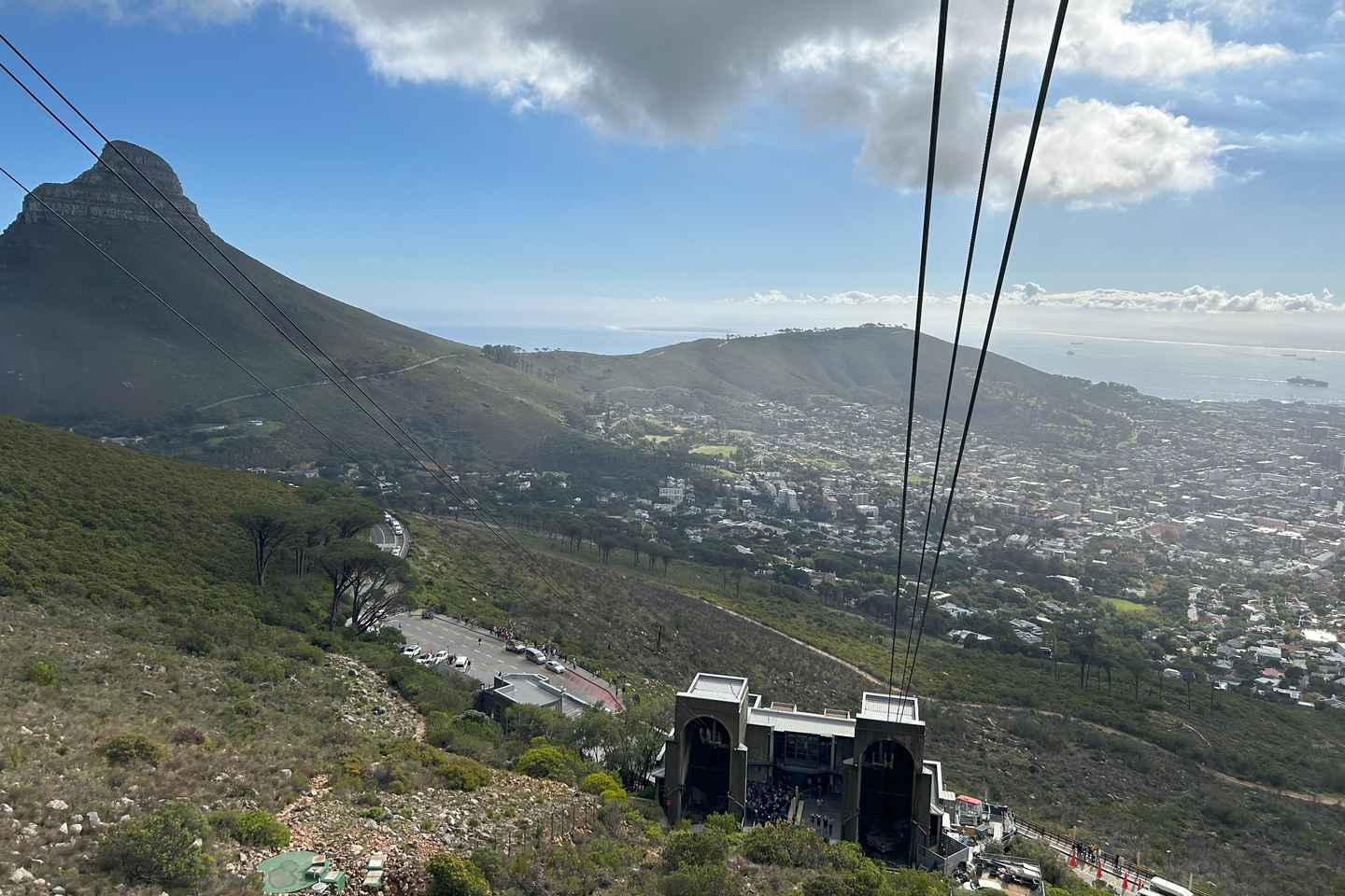 things to do in cape town | kirstenbosch national botanical garden