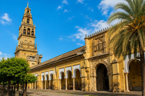 Mosque-Cathedral Sightseeing Tour without Ticket