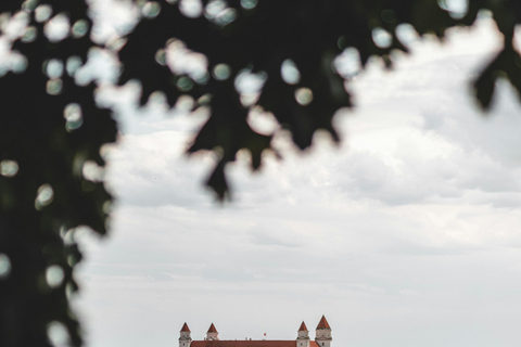 Vienna: Guided Bratislava & Devín Castle Tour via Hainburg Private Tour Ticket