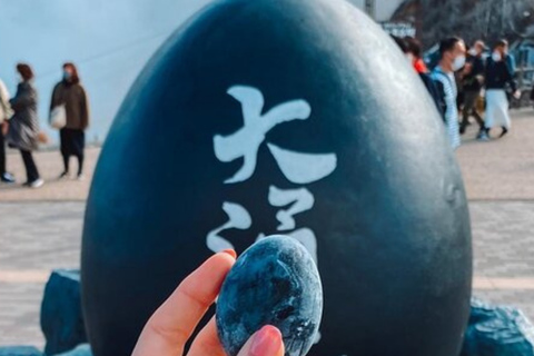 Tokyo: Mount Fuji And Hakone Private Tour Full Customizable