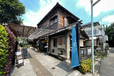 Tokyo: Gamla kvarteret Rundvandring i gamla kvarteret Yanaka