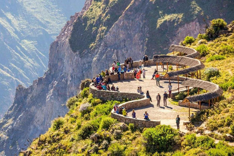 Excursión de 1 día al Cañón del Colca + Aguas Termales