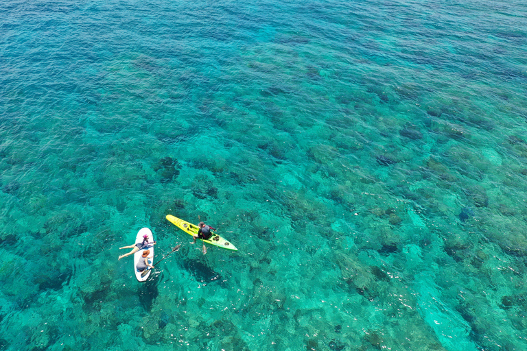 From Bali: Nusa Penida Day Trip with Fast Boat & Lunch