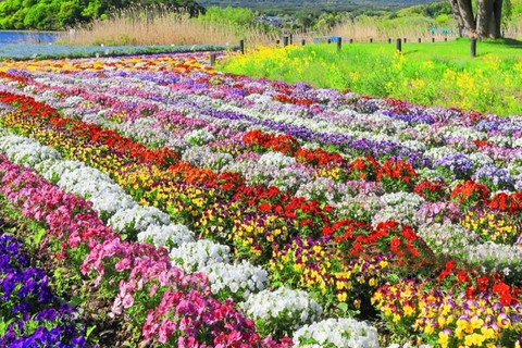 Tokyo: Mount Fuji Instagram Highlights Day Trip (6 Views) 08:00 | Meet at Shinjuku West Exit, SMBC