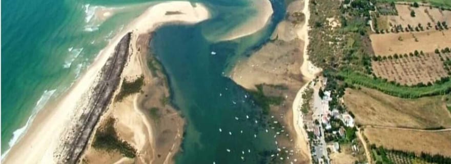 Depuis Olhão : Excursion guidée en bateau d'une journée vers les trois îles de la Ria Formosa