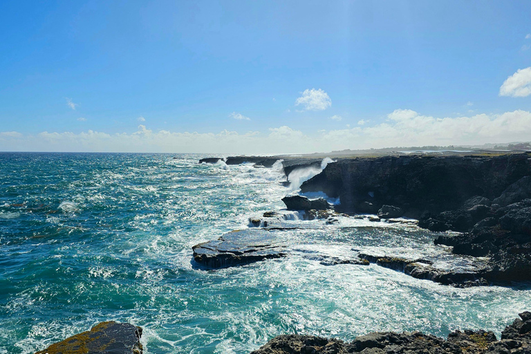 Barbados: Tour guiado panorâmico particular