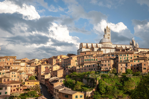 Pisa, Siena, San Gimignano e Chianti: gita di 1 giorno da FirenzeTour classico