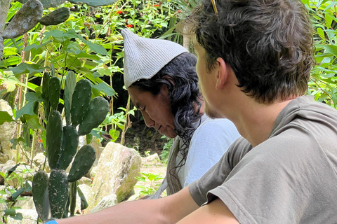 Parco Tayrona 2 giorni e 1 notte. Un percorso ancestrale.