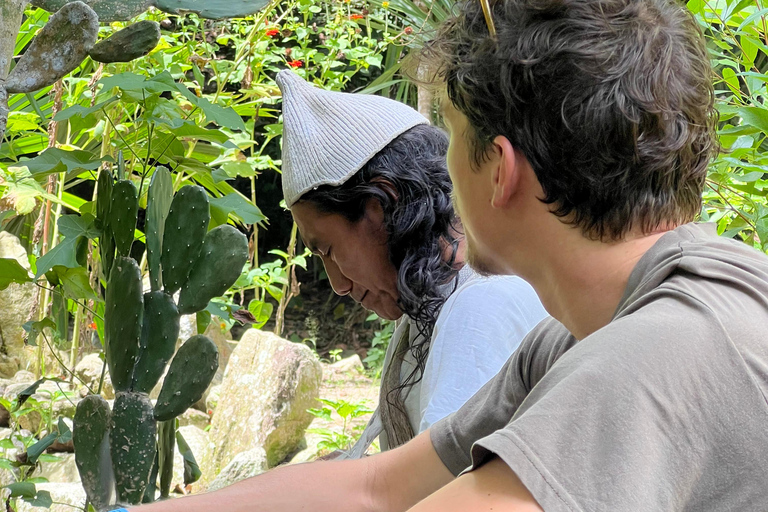 Parco Tayrona 2 giorni e 1 notte. Un percorso ancestrale.