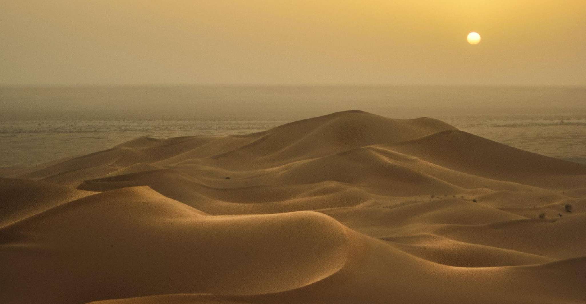Doha:Sunrise or Sunset Desert Safari Tour with Sand Boarding photo 4