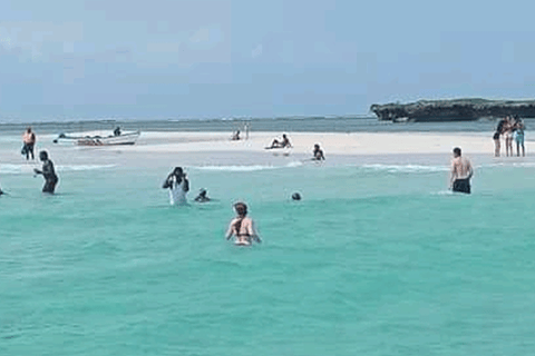 Wasini island: Marine Park, Dolphin Watch & Village Tour