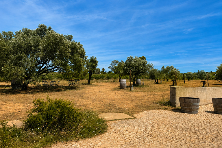 Lagos: Wine Tasting Experience at Local Winery