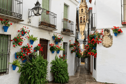 From Granada: Córdoba Highlights. Day trip