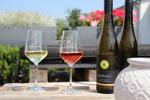 Kröv/Gut Hermes: Wine tour & tasting through the vineyard, winery, & sparkling wine factory Kröv/Gut Hermes: Wine Tour & Tasting Through Vineyard, Winery & Champagne Factory