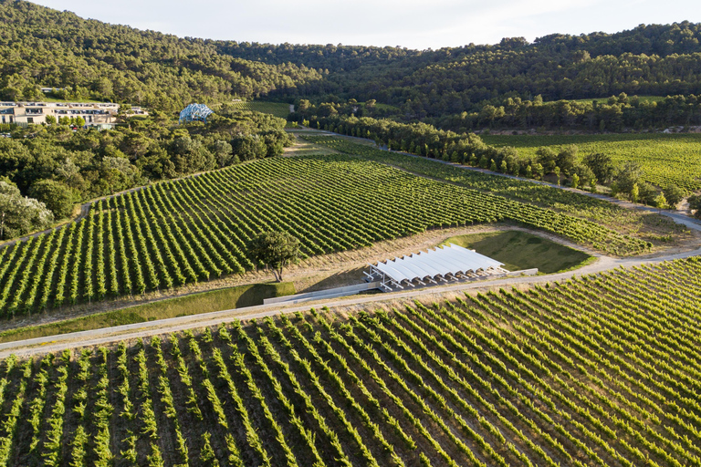 Aix-en-Provence: Art & Architecture Tour of Château La Coste
